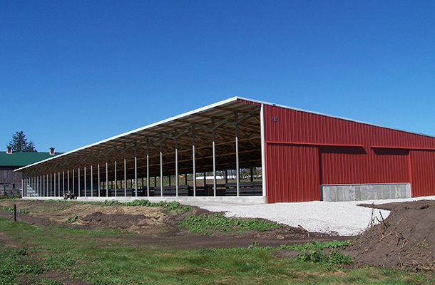 Lanesboro, MN, beef cattle, Prehn Building Sales Inc, Lester Buildings
