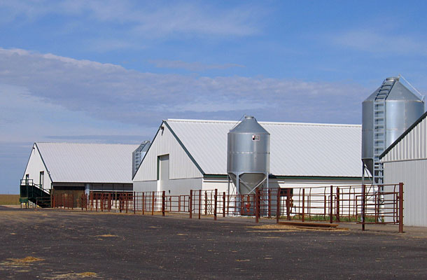 Murdock MN, Dairy Calf Housing, Daryl Delzer, Lester Buildings