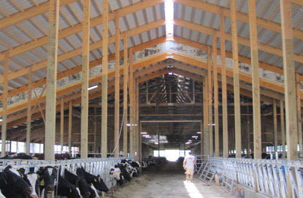Strykersville, NY, Dairy Freestall, Getterr Done Construction Inc., Lester Buildings