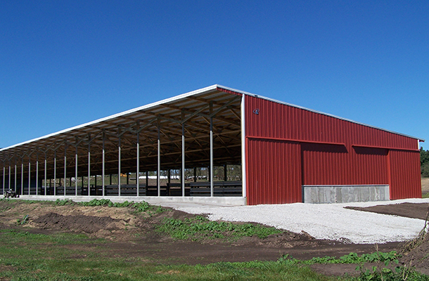 Lanesboro, MN, beef cattle, Prehn Building Sales Inc, Lester Buildings