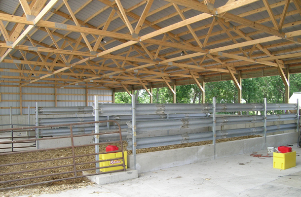 Green Isle, MN, Dairy calf housing, Ron Foust, Lester Buildings