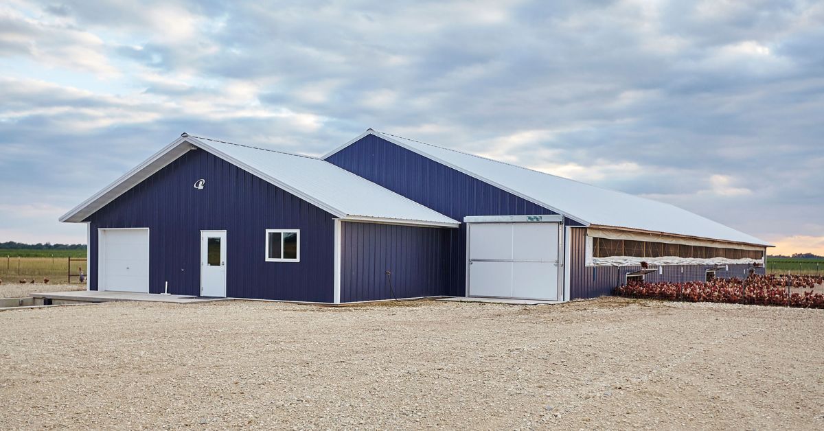 LesterBuildingSystemsLLC-411097-Your-Livestock-Buildings-imageB1-(1).jpg What To Know About Ventilating Your Livestock Buildings