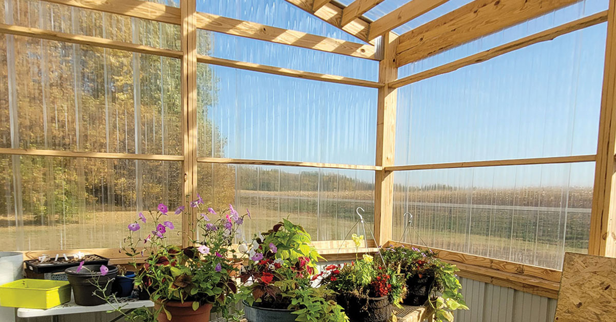 618284_Hobby_Greenhouse_3.jpg 618284_Hobby_Greenhouse_3.jpg