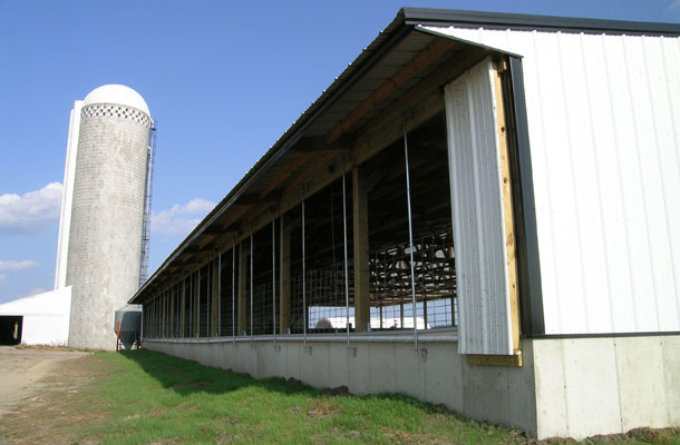 Mayer MN, Dairy Calf Housing, Ron Foust, Lester Buildings