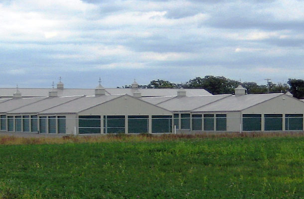 Cedar Rapids IA, Self Storage, Eastern Iowa Building Inc., Lester Buildings