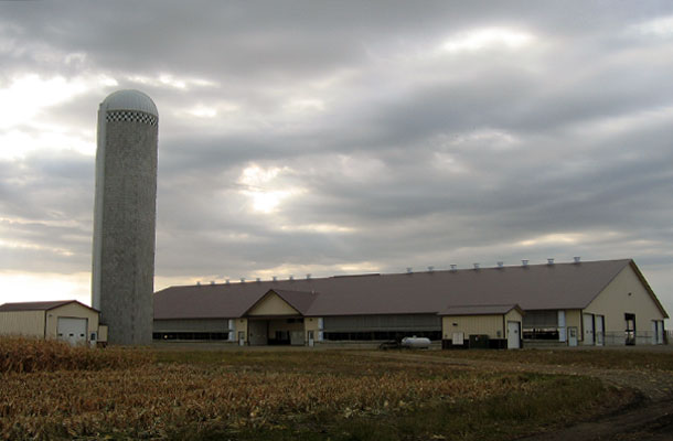 Wabasso MN, Dairy Freestall, Daryl Delzer, Lester Buildings