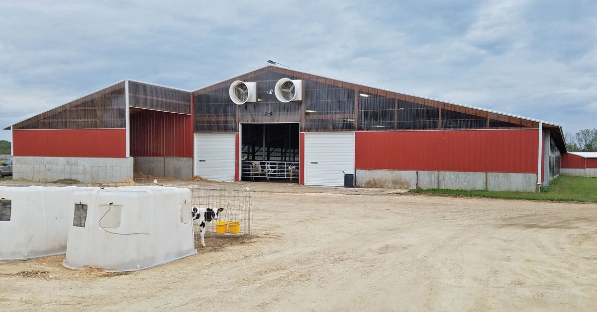 What Livestock Owners Should Look for in a Barn Layout
