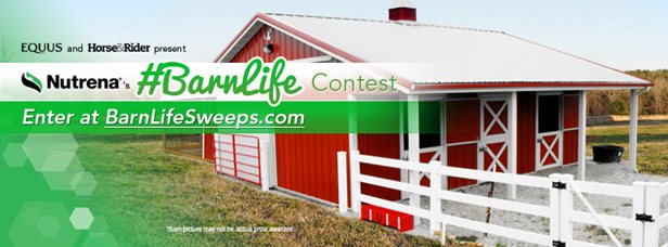 barnlife_fb-cover_851x315.jpg