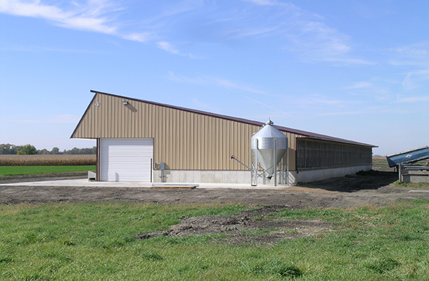 Stewart, MN Dairy calf housing, Ron Foust, Lester Buildings