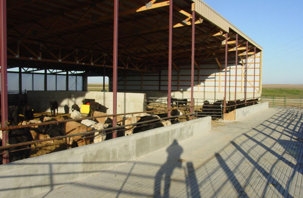 Grover SD, Beef Cattle, Larson Construction, Lester Buildings