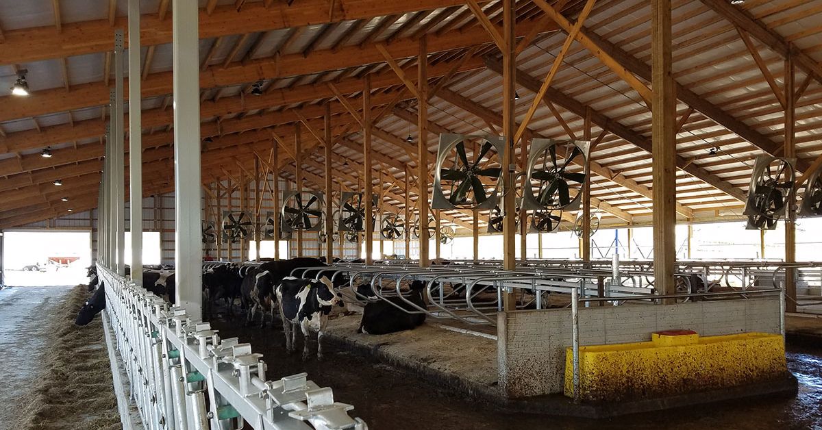 LesterBuildingSystemsLLC-400663-Materials-Livestock-Barn-imageB1.jpg How To Choose the Right Materials for a Livestock Barn