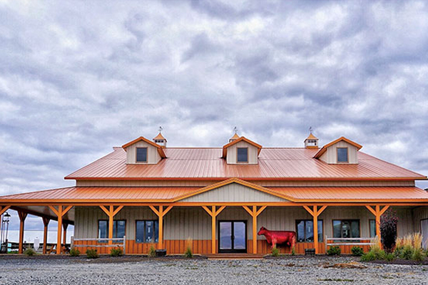 Dormer_(3).jpeg Dormer_(3).jpeg