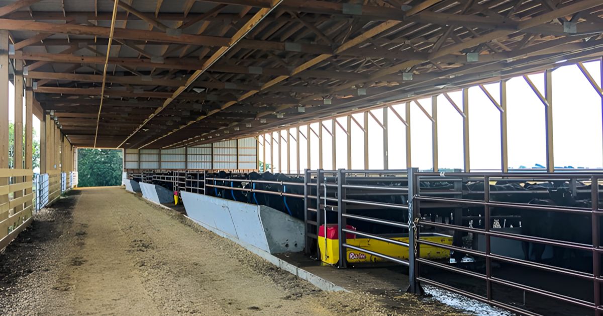 The Importance of Livestock Shelter for Farm Animals