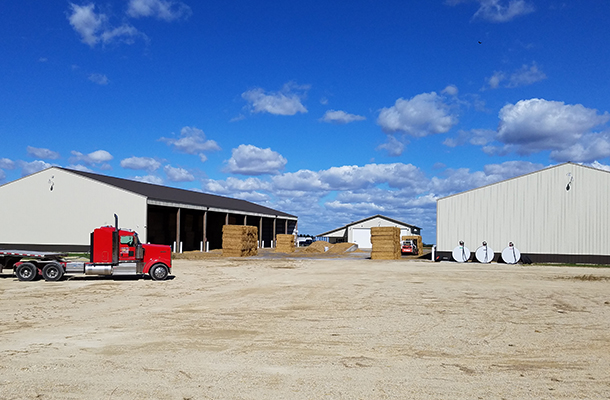 Goodhue MN, Trucking Business Hay Straw, Corey Larsen, Lester Buildings