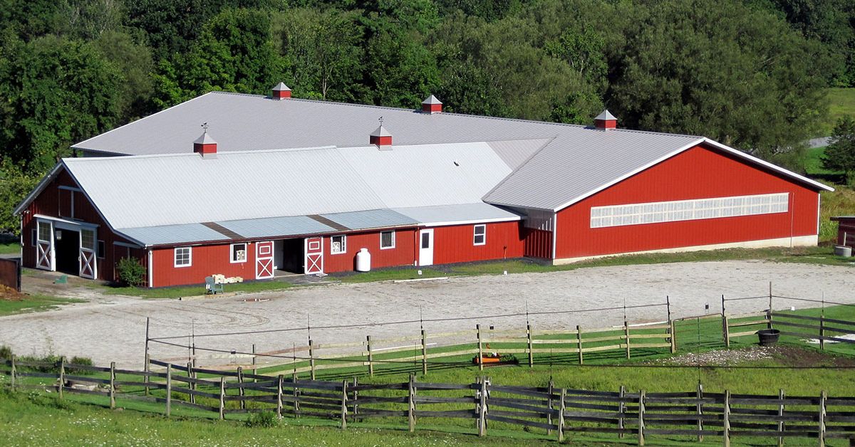 How To Choose the Right Materials for a Livestock Barn