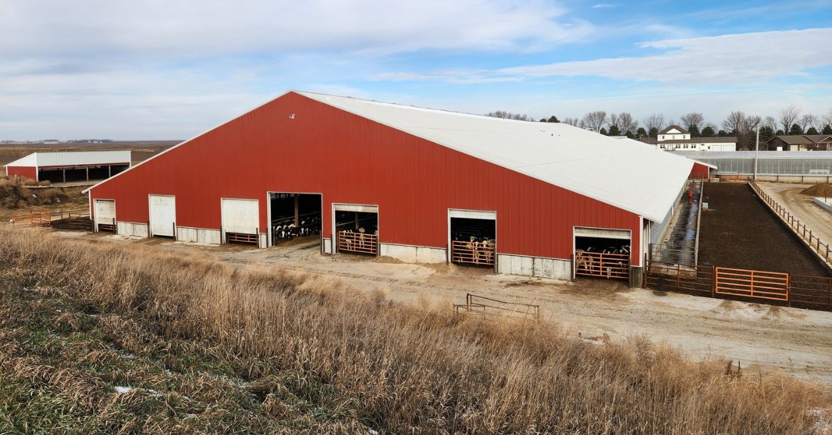 What Livestock Owners Should Look for in a Barn Layout
