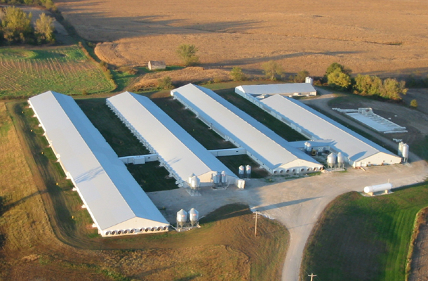 Wayland, WI, Hog gestation and farrowing buildings, Precision Structures Inc., Lester Buildings