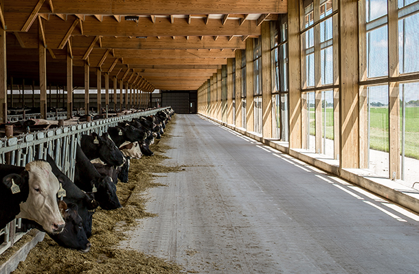 DairyBarnVentilation.jpg DairyBarnVentilation.jpg