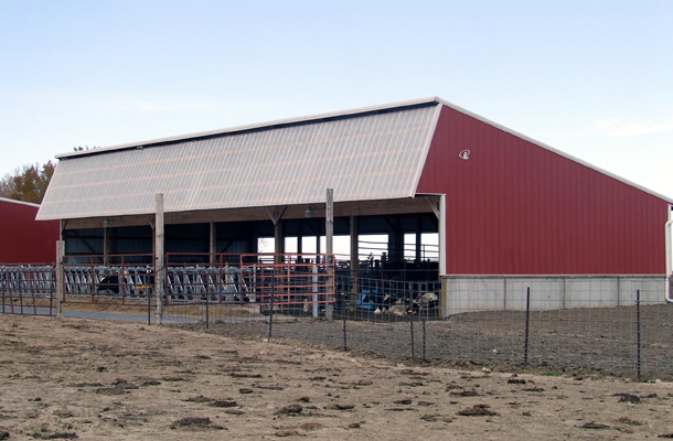 Hull, IA, Dairy Calf Housing, Hoksbergen and DeStigter Construction Inc., Lester Buildings