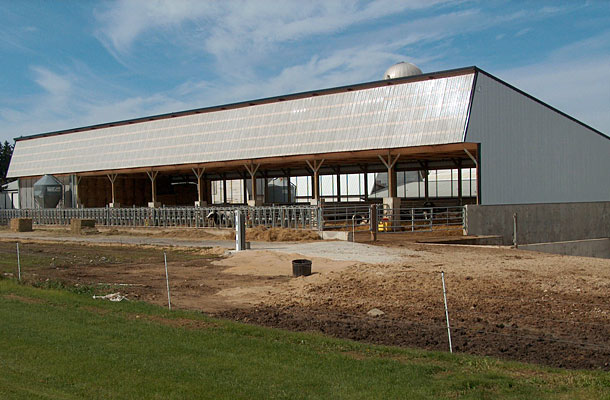 Garden Prairie IL, Dairy Calf Housing, Allen Miller, Lester Buildings