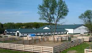 Commercial Stables and Arenas