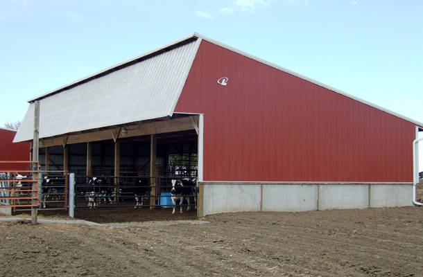 Hull, IA, Dairy Calf Housing, Hoksbergen and DeStigter Construction Inc., Lester Buildings