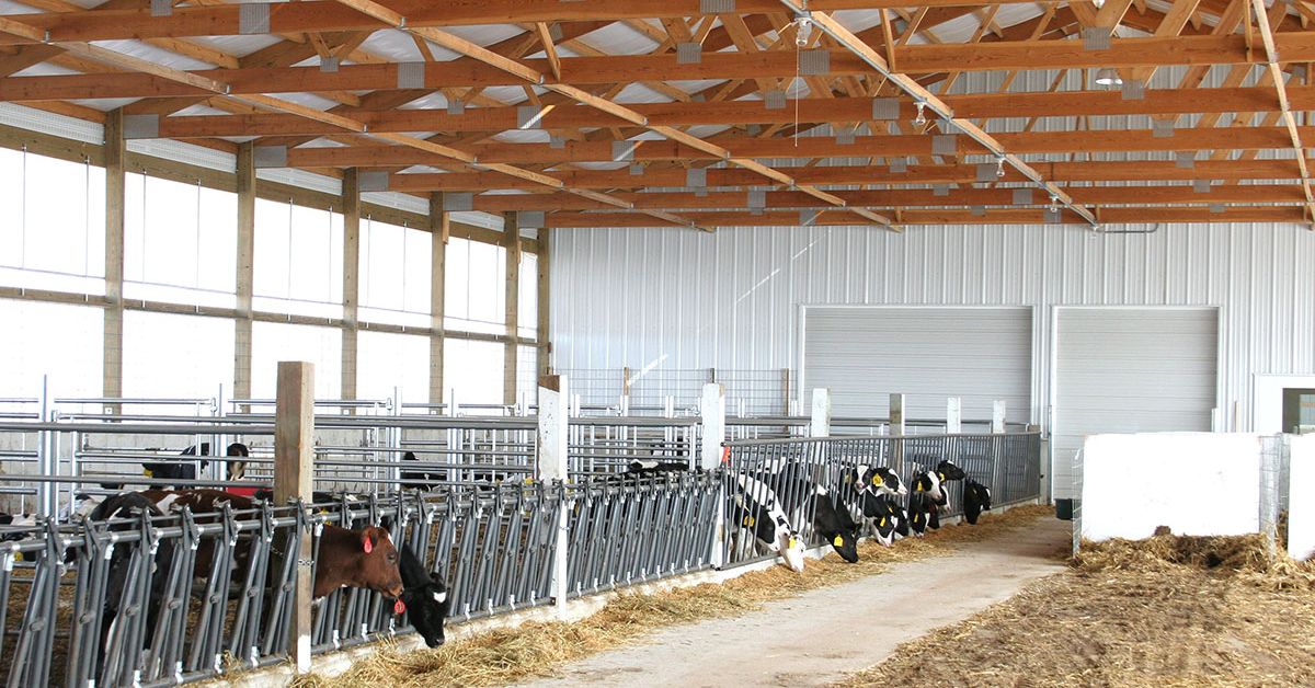 How To Choose the Right Materials for a Livestock Barn