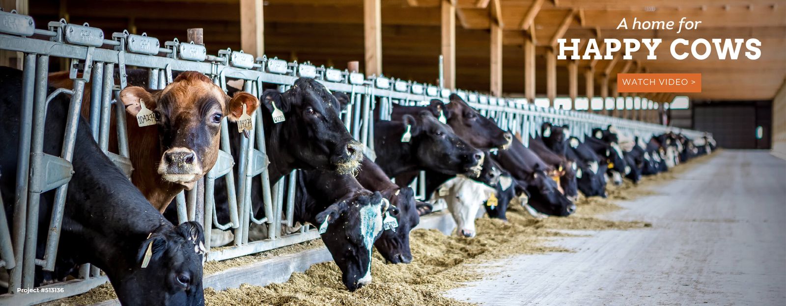 Cow Barn – Monoslope Cattle Barn