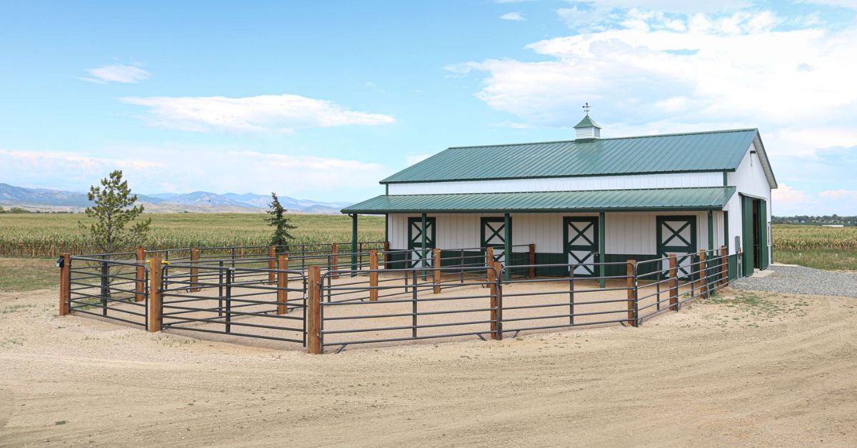 What To Know About Ventilating Your Livestock Buildings