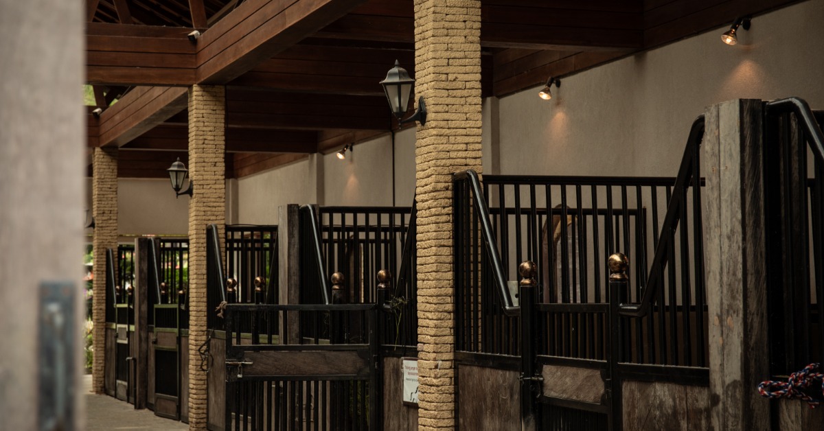 A row of horse stalls with metal gates and wood panels lines a stable walkway with brick columns and warm lighting.