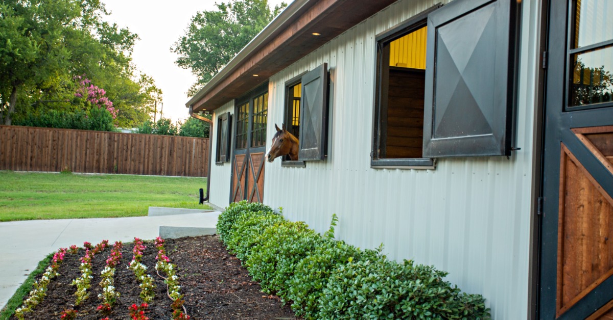 A horse looks out from a stall window in a modern barn, with plants and flowers lining a walkway next to the building.