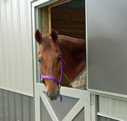 Horse Stall Doors - Building Accessories